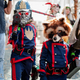 Illustration for article titled Its Not A Trap: The Most Incredible Cosplay From Long Beach Comic Con!